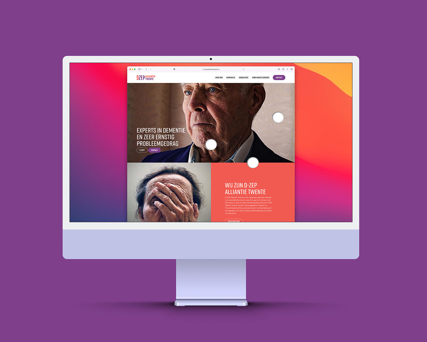 DZEP website crop